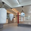 스타복싱클럽 이미지