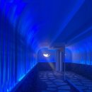 행정용 43번 | 가파도청보리밥 내돈내산 후기 / 기흥 맛집 추천 (+주차 꿀팁, 평일 주말 웨이팅 시간)