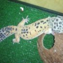 수원-0164 이미지