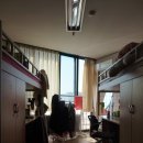 건국대학교모시래학사 이미지