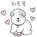 굿나잇 민박 이미지