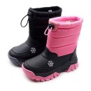 라스텔라 이미지