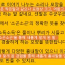 소곤소곤
