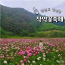 상동반시영농조합법인 | 영월 작약축제 상동 하이힐링원