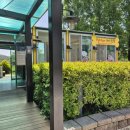 펫팸푸드 이미지