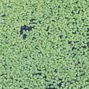 퇴근이 모야 이미지