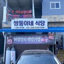 쌍둥이네 애견 이미지