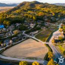 텐타우스 이미지