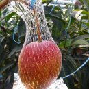 토평남로 이미지