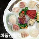 신신회동신참치