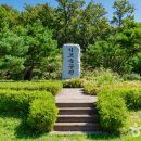 더정감