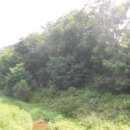 봉양보건진료소 이미지