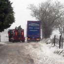 Snow County 이미지