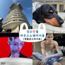 신방화역 3번출구 뒤(+엘리베이터) | [성수] 성수 하우스노웨어 서울 &#34;젠틀몬스터 사옥&#34; 방문후기