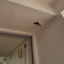 천안용곡초등학교 이미지