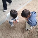 뒷말어린이공원 Daum카페