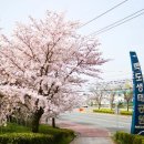 낙동제방 자전거도로 이미지