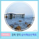 삼사 바다산책로 | 영덕 가볼만 한 곳 삼사해상산책로 경북 여행 블루로드