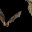 으뜸50안경 잠실새내점 이미지