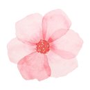 통영 물세탁 이미지