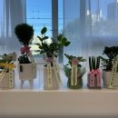 3층 사진관 이미지