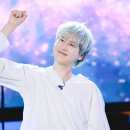 플레로마 이미지