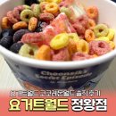 요거트월드 정왕점 내돈내산 후기 춘식이 콜라보 코코레몬월드 요거트아이스크림