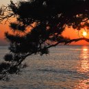 동백섬의 일출 이미지