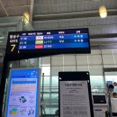[스페인] 비행기타고 대륙을 지나✈️