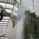 다윈 | 런던 맛집 추천 스카이가든 식당 다윈브라세리 Darwin Brasserie 후기