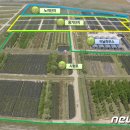 김재수 목장 이미지