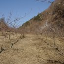 오지농장 이미지