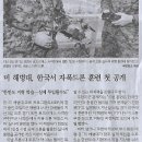종합/ 반도체 편중 성장의 그늘…하반기 고용 증가 전망 ‘20만→10만’/ 노동연 ‘2026년 노동시장 전망’ 보고서(민중이 깨어나야 이미지