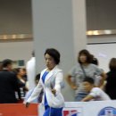 프리티도그 | {2011 FCI 아시아 퍼시픽 섹션 도그쇼} 8월 28일 FCI&KKF 도그쇼 후기- 셔틀랜드쉽독