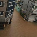 김천 대곡 김천신문