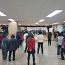 라인댄스 이미지