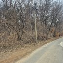 불은면사무소 이미지