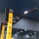 더 복싱(THE BOXING) 이미지
