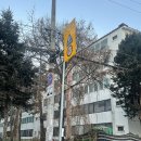 용현동33-1 장미1차 및 2차아파트 진입로 | 의정부시 용현동 동남장미1차 (89년 준공, 재건축 이슈, 5층 엘베 없는 아파트)