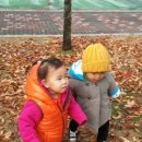 초록공원 농구장 이미지