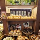 [3분기] 카페베이커리 | 을지로3가 카페 추천 메론빵 맛집 아소토베이커리 후기