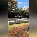 종달새어린이공원 네이버블로그