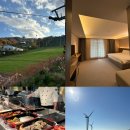 유정식당 | 평창 가볼만한곳 월정사 · 휘닉스평창 숙박 · 유정식당 · 나폴리피자 솔직후기