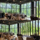 파주 북카페 리파크(LEEPARK), 싱그러운 초록 뷰 보며 책 읽기 좋은 파주 뷰카페