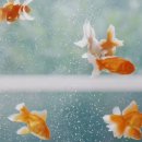 디카플러스 | 일요일 익선동 나들이 (1) feat.청수당베이커리, 포토랩플러스 라이브러리