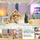 문캐터리 네이버블로그