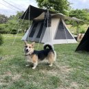 황학동캠핑장 이미지