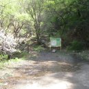 의암 스카이워크 이미지