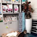 심바동물병원 이미지