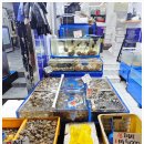 가좌시장3 이미지